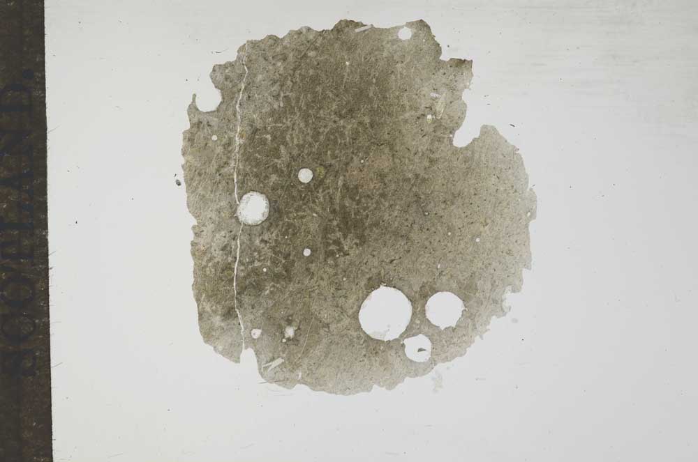 Plane Polarized, S17259