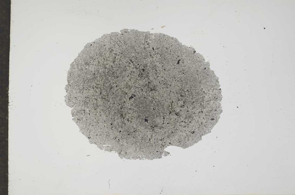 Plane Polarized, S17260