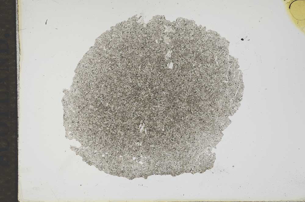 Plane Polarized, S17264