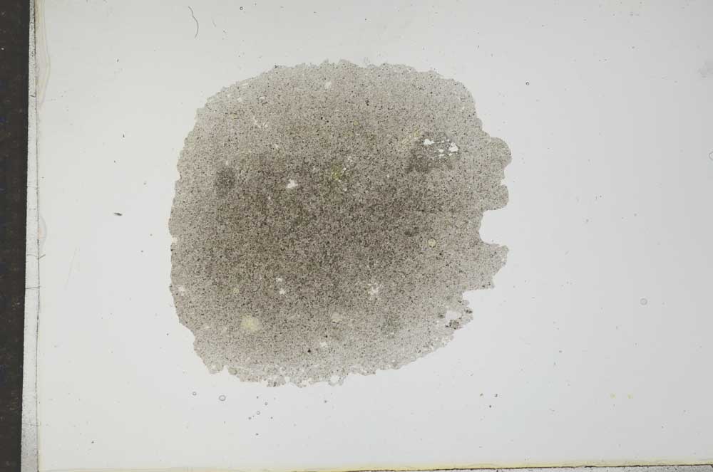 Plane Polarized, S17271