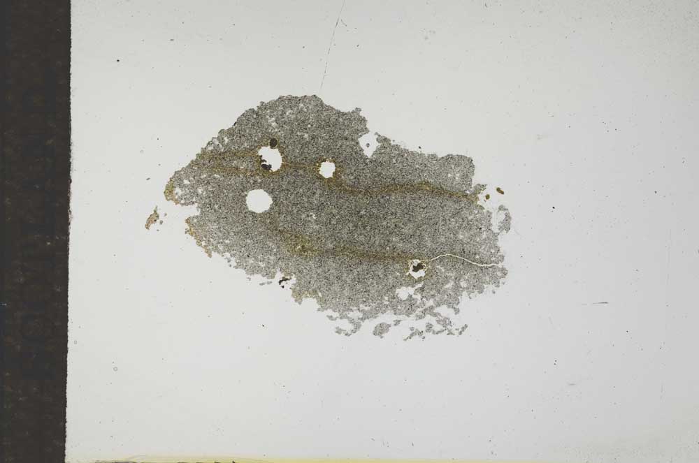 Plane Polarized, S17286