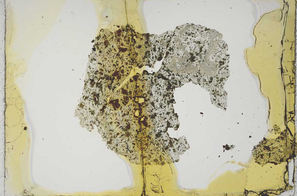 Plane Polarized, S17287