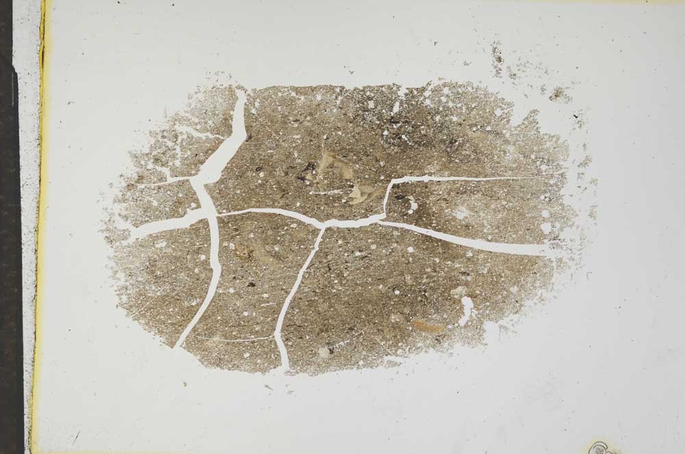 Plane Polarized, S17294