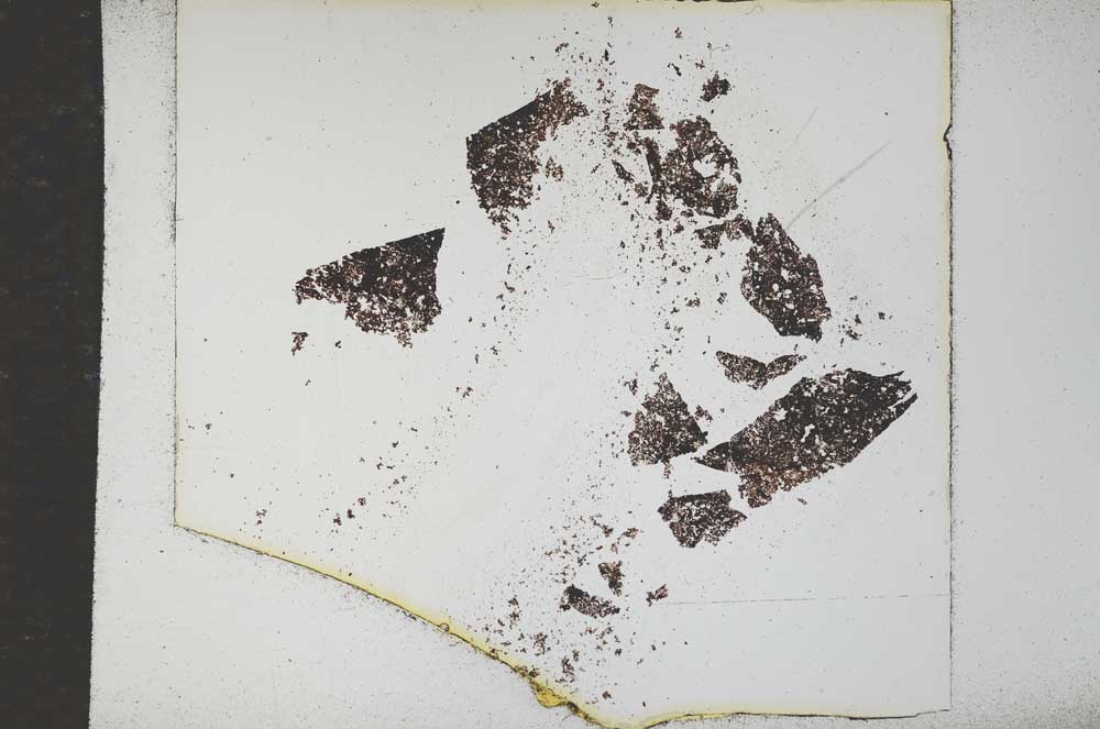 Plane Polarized, S17295