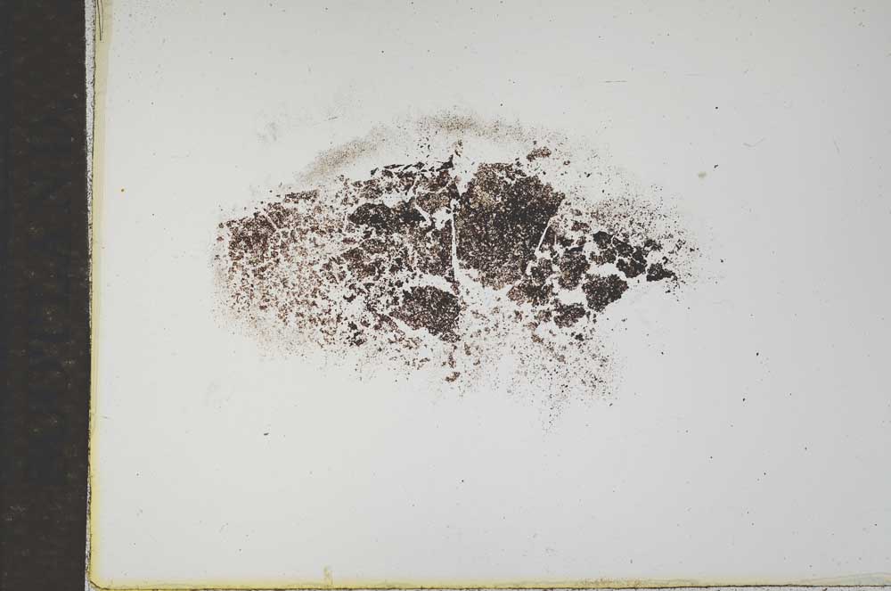 Plane Polarized, S17295/B