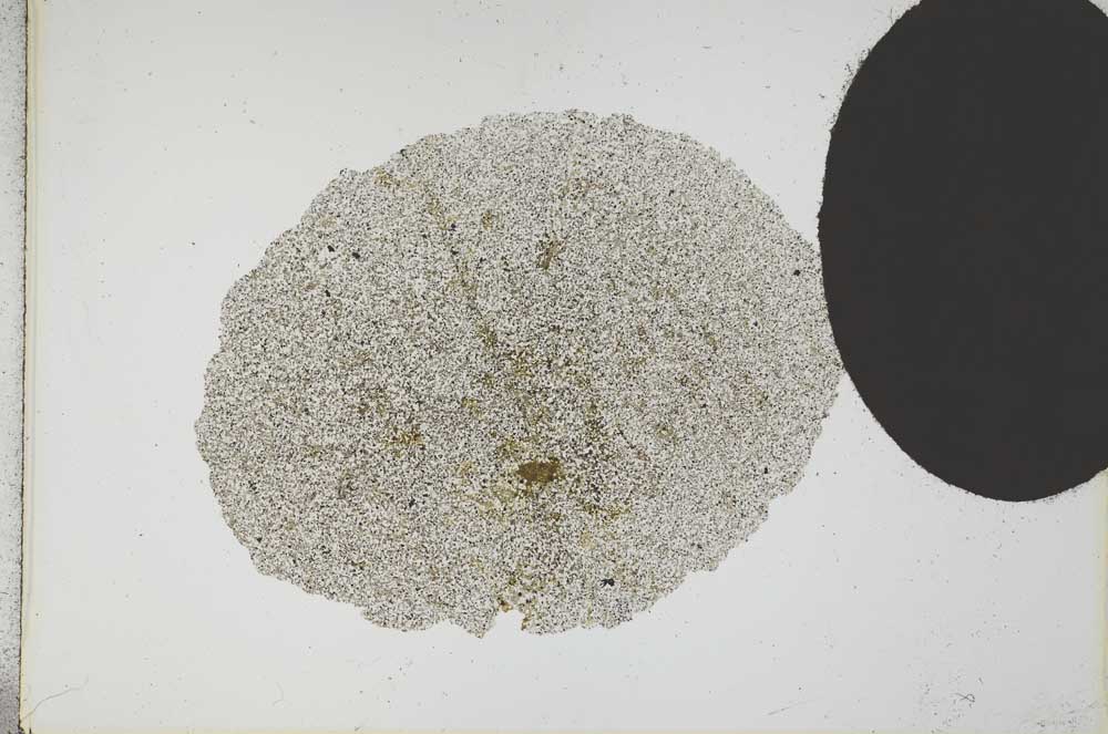 Plane Polarized, S17317