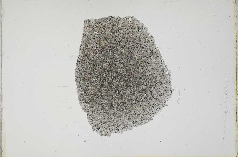Plane Polarized, S17325
