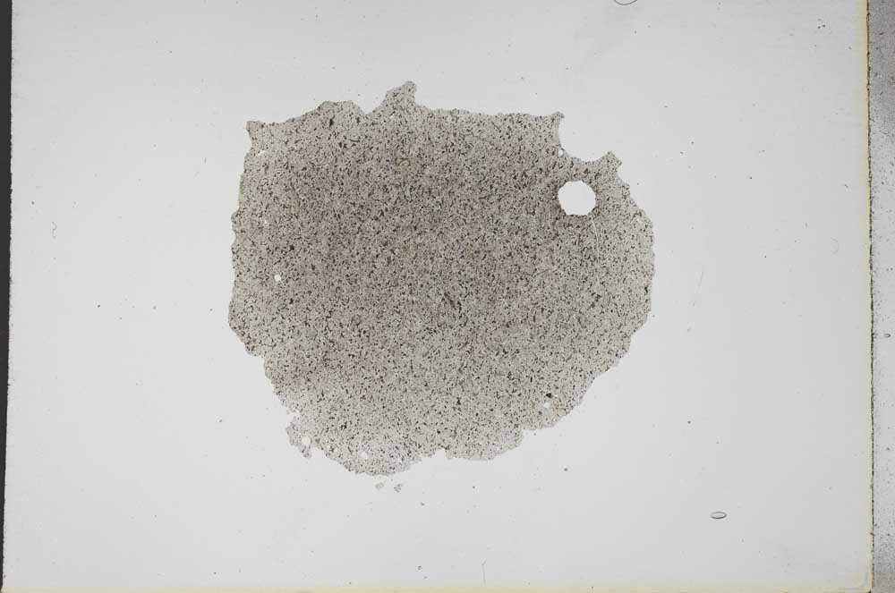 Plane Polarized, S17327