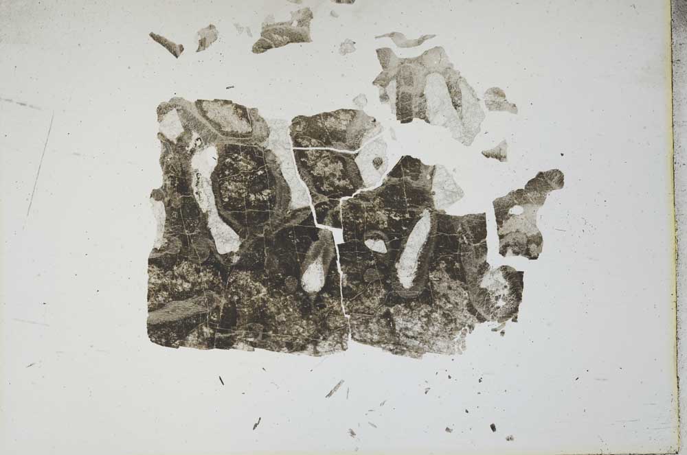 Plane Polarized, S17332