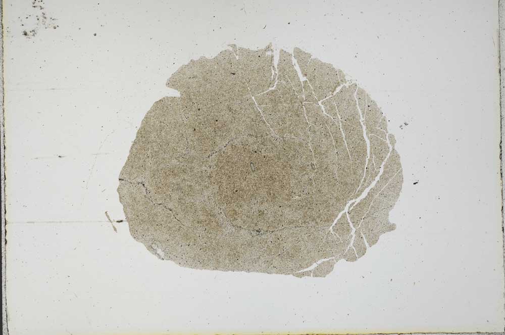 Plane Polarized, S17335