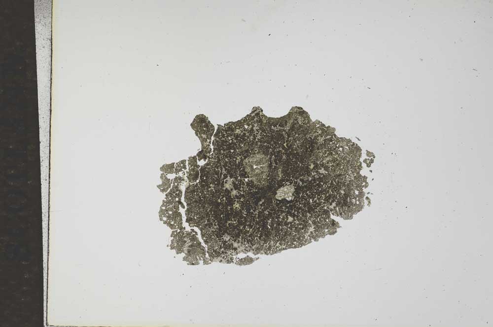 Plane Polarized, S17337