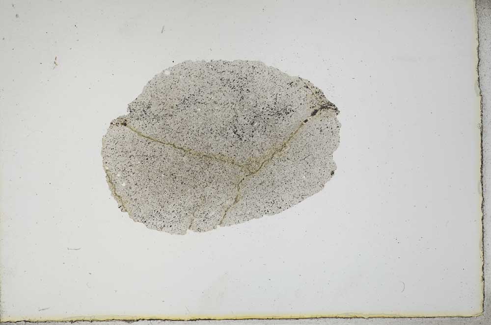 Plane Polarized, S17341
