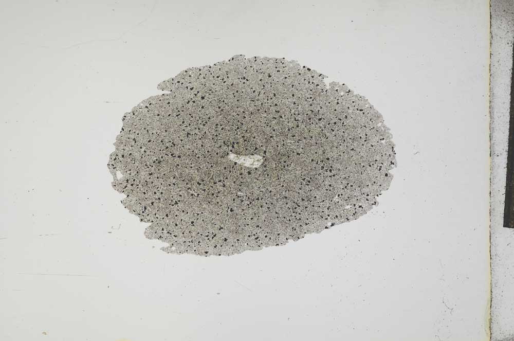 Plane Polarized, S17343