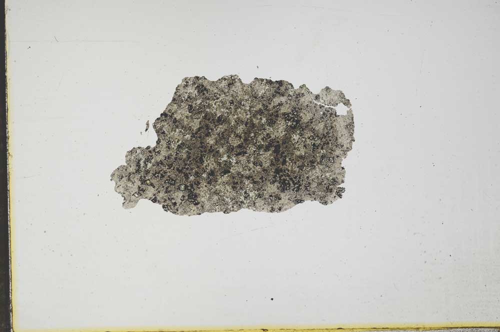 Plane Polarized, S17345