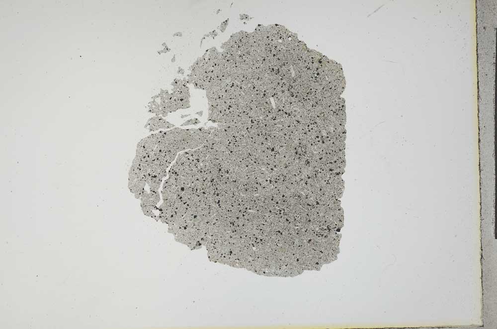 Plane Polarized, S17349