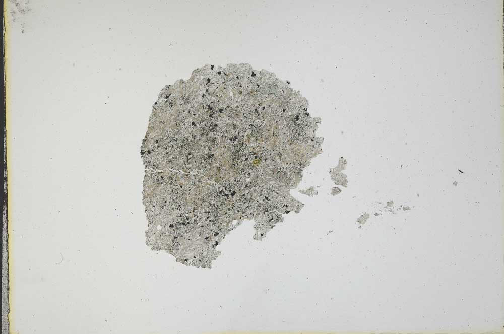 Plane Polarized, S17355