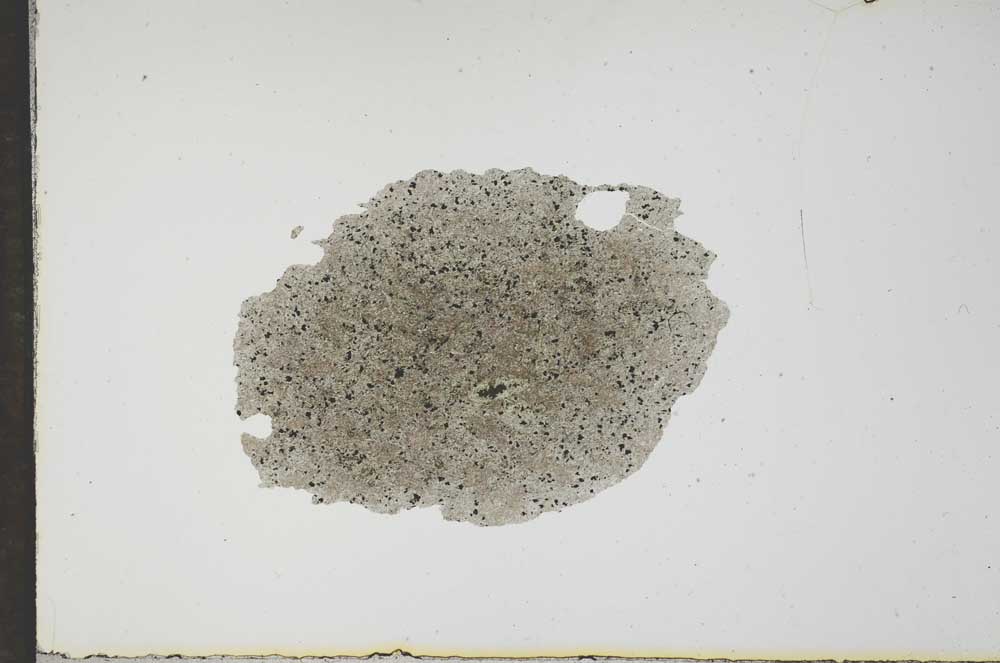Plane Polarized, S17358