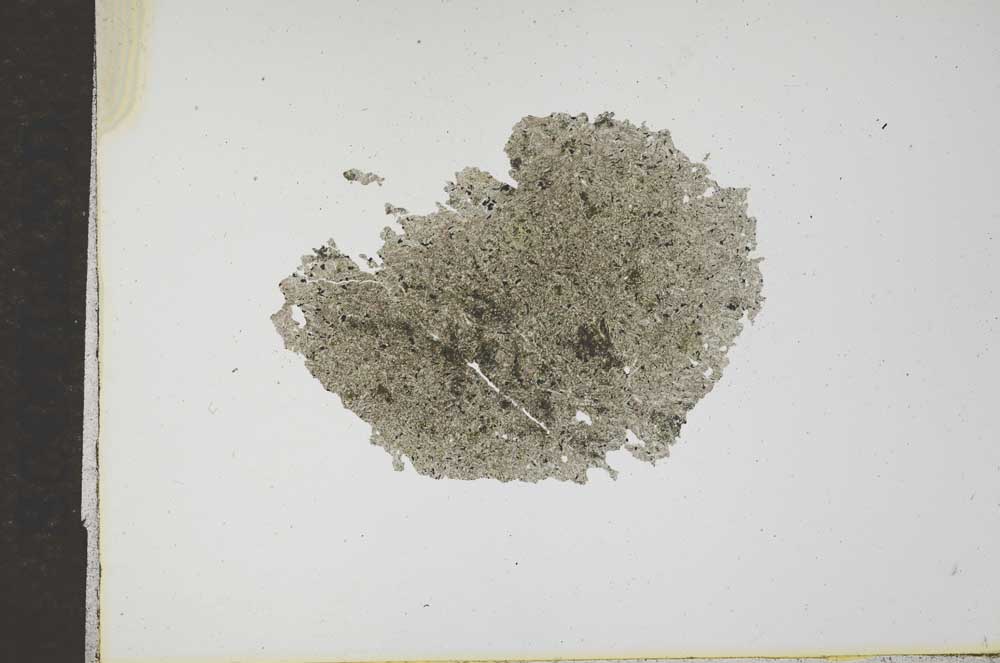 Plane Polarized, S17359