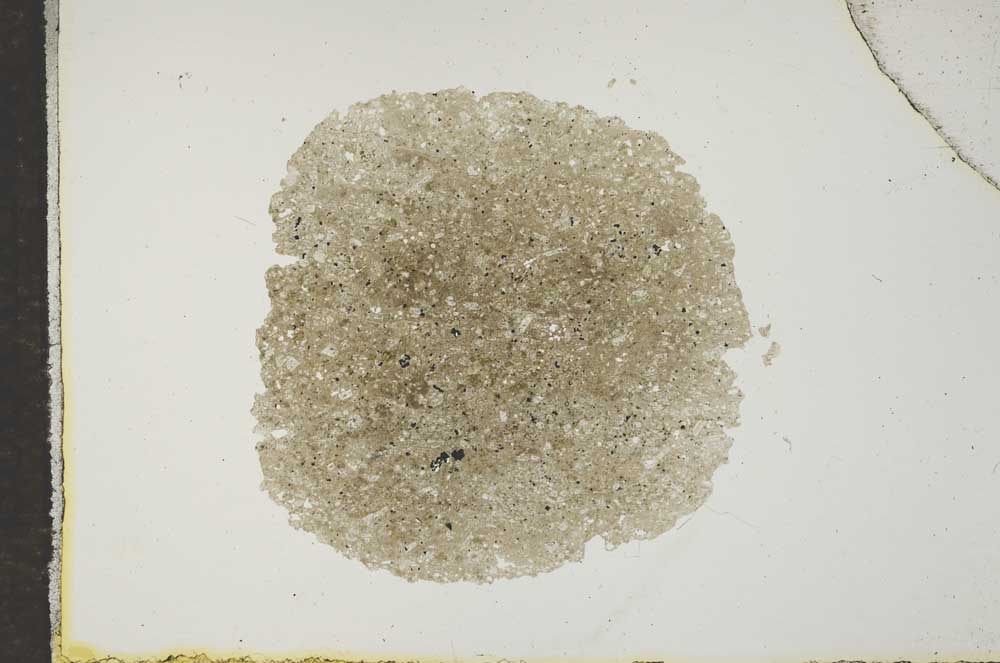 Plane Polarized, S17373