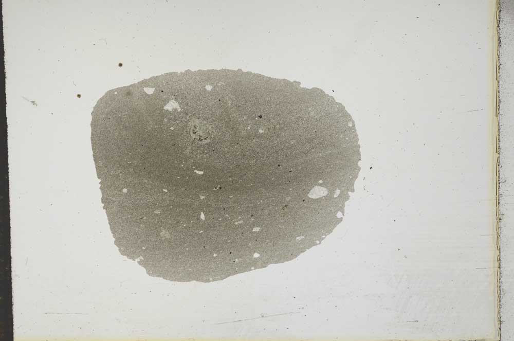 Plane Polarized, S17392