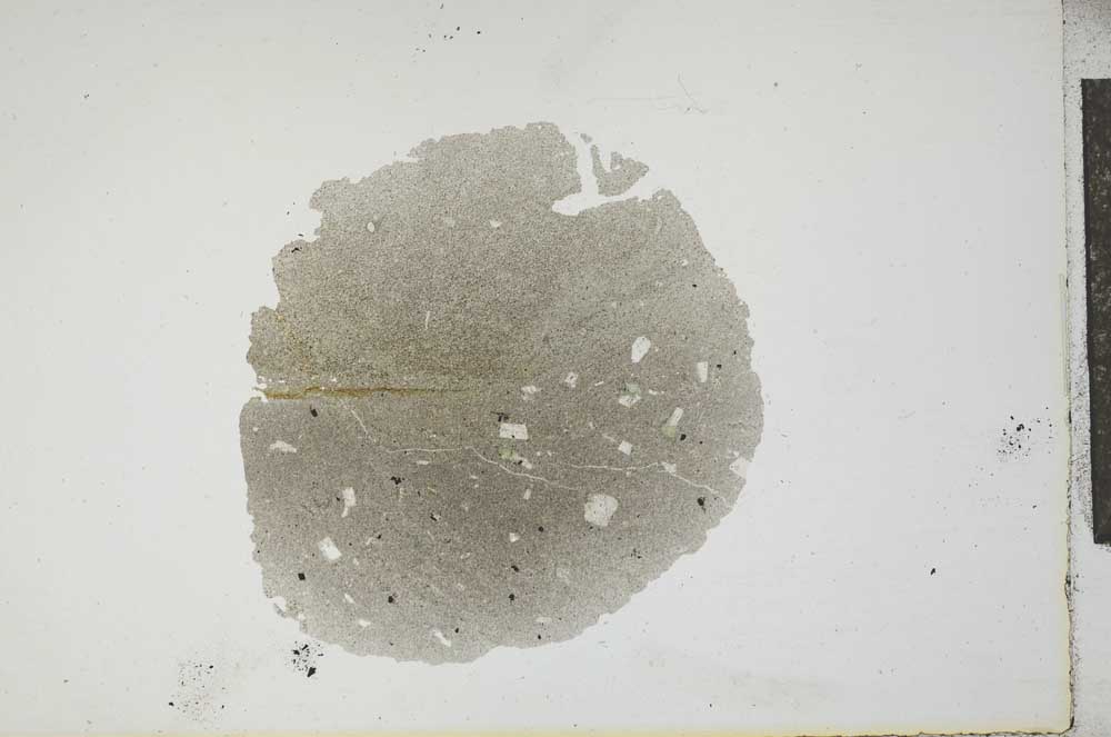 Plane Polarized, S17393
