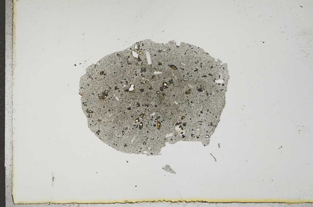 Plane Polarized, S17394
