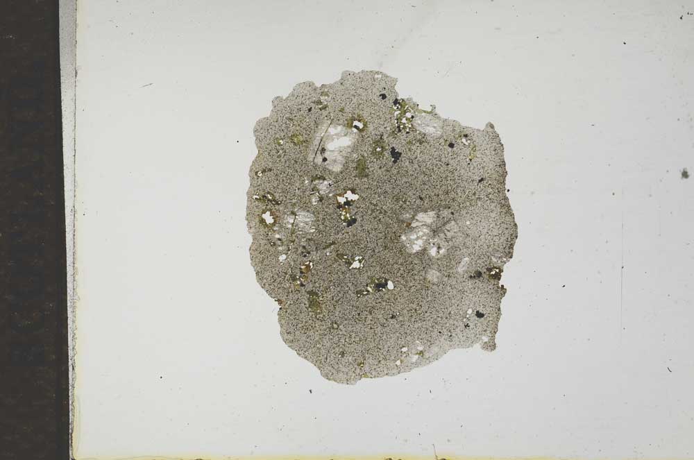Plane Polarized, S17395