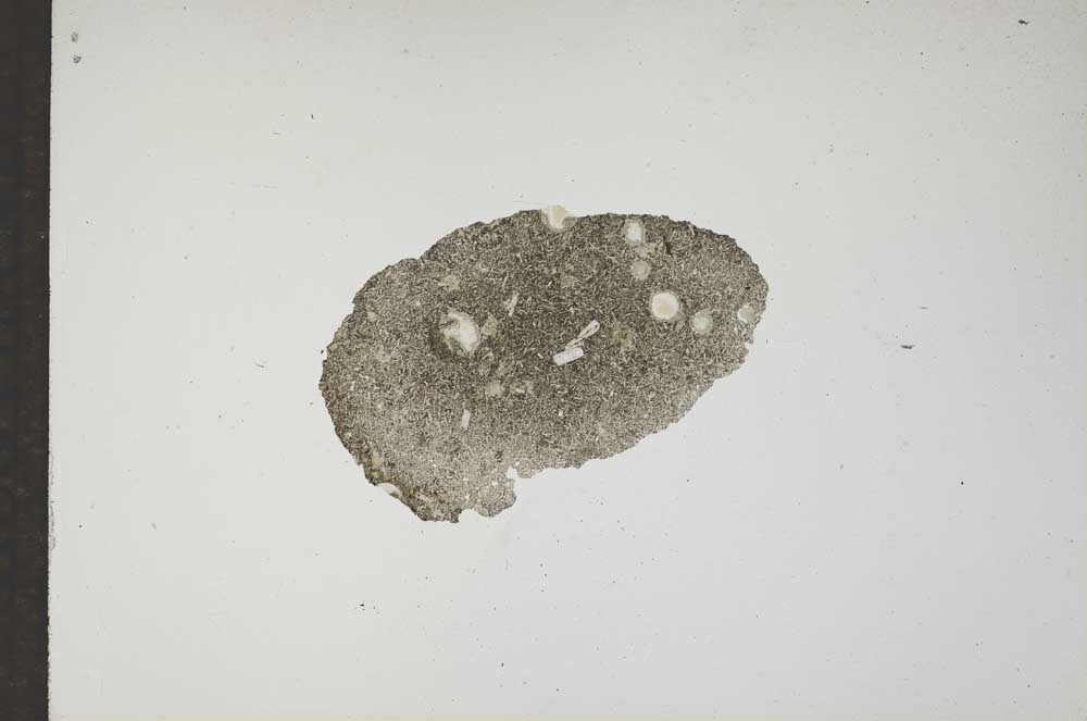 Plane Polarized, S17397