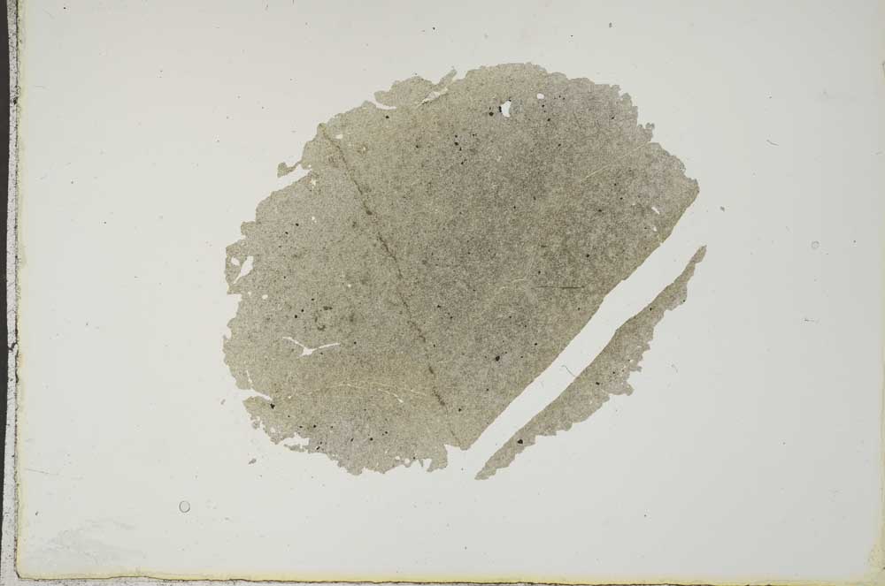 Plane Polarized, S17401/B