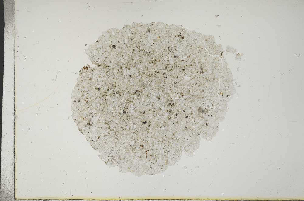 Plane Polarized, S17424