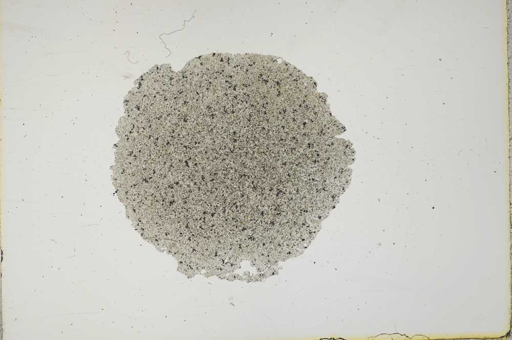 Plane Polarized, S17425