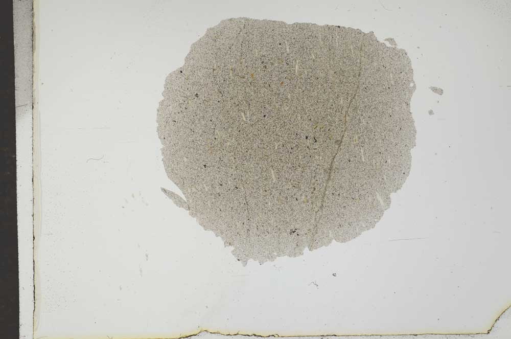 Plane Polarized, S17458