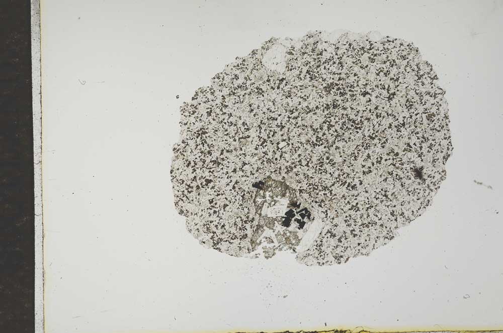 Plane Polarized, S17467