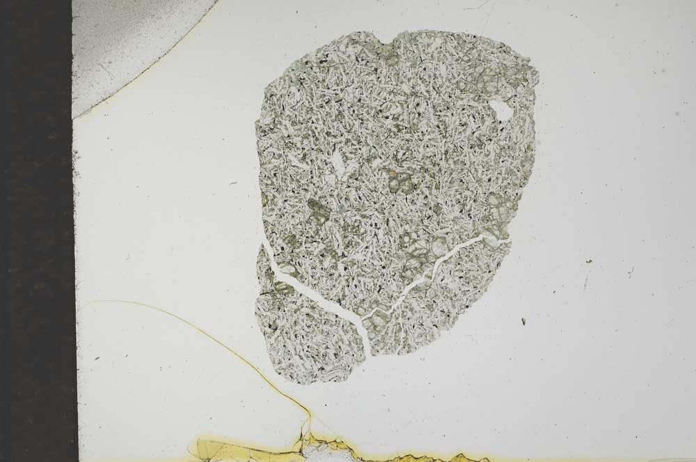 Plane Polarized, S17475