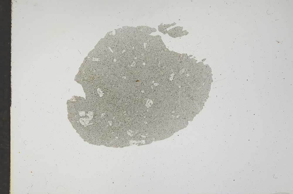 Plane Polarized, S17476