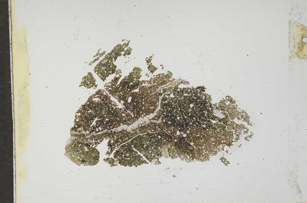 Plane Polarized, S17480