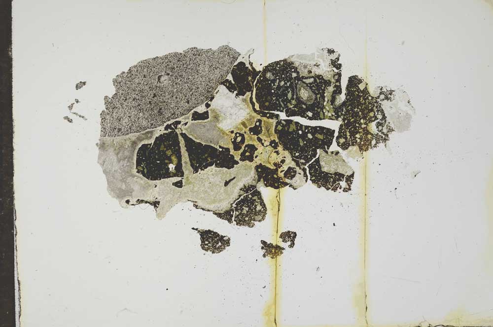 Plane Polarized, S17483