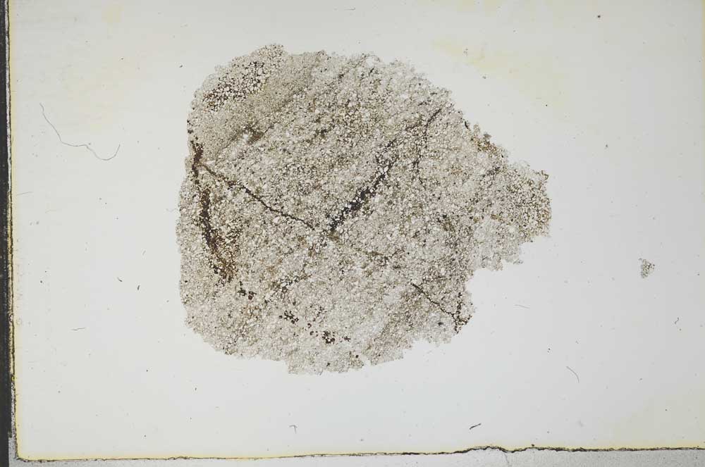 Plane Polarized, S17489