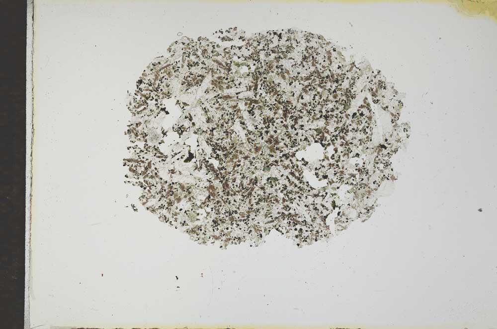Plane Polarized, S17497