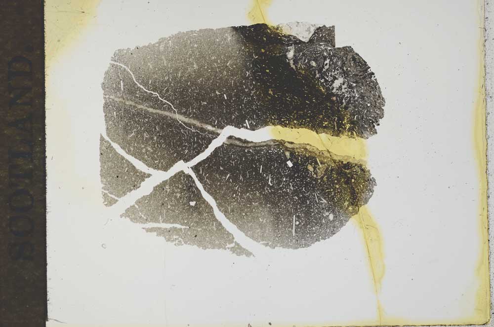 Plane Polarized, S17498