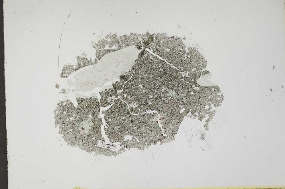 Plane Polarized, S17502
