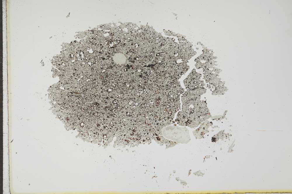 Plane Polarized, S17503