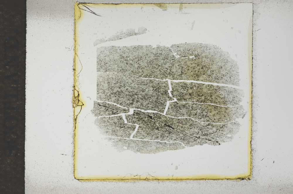 Plane Polarized, S17507