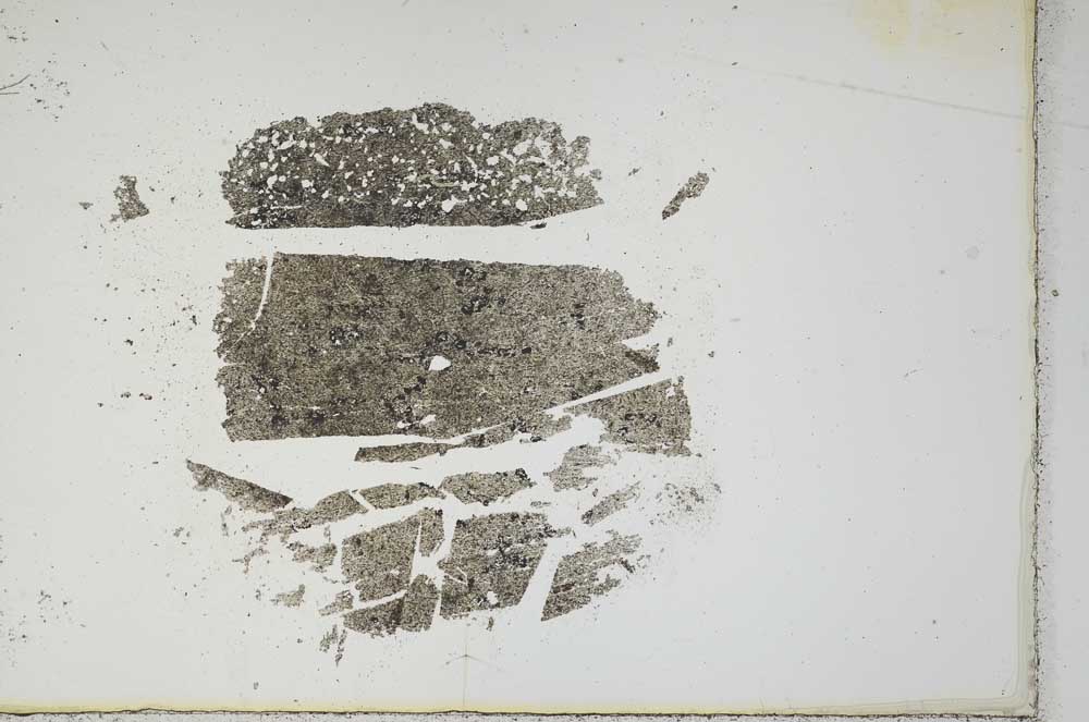 Plane Polarized, S17517