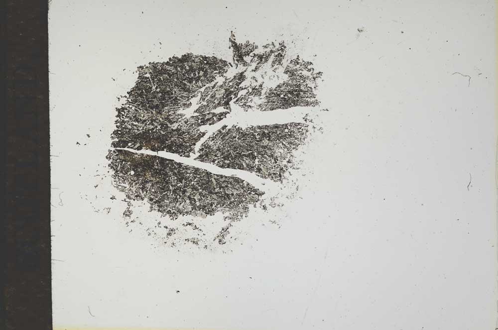 Plane Polarized, S17518