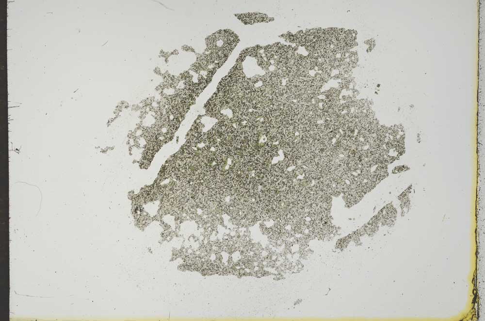 Plane Polarized, S17522