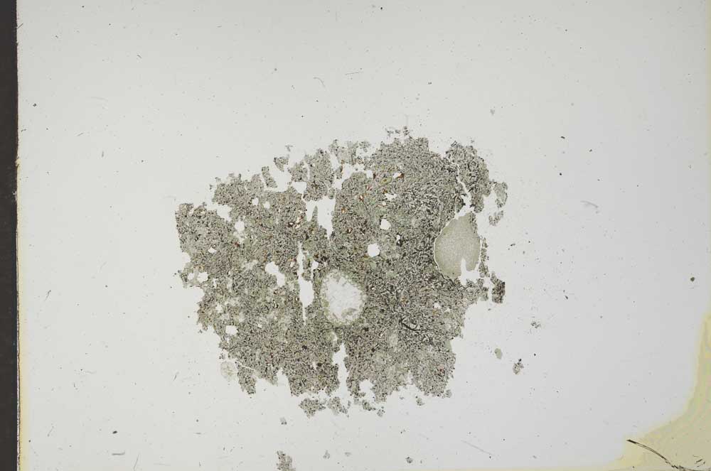Plane Polarized, S17526