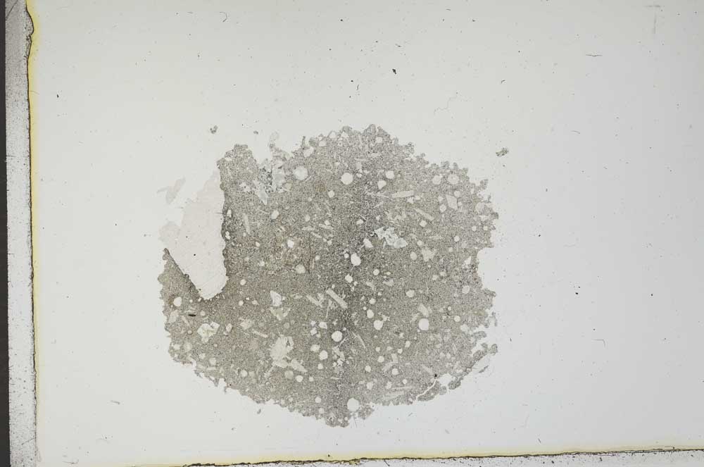 Plane Polarized, S17529