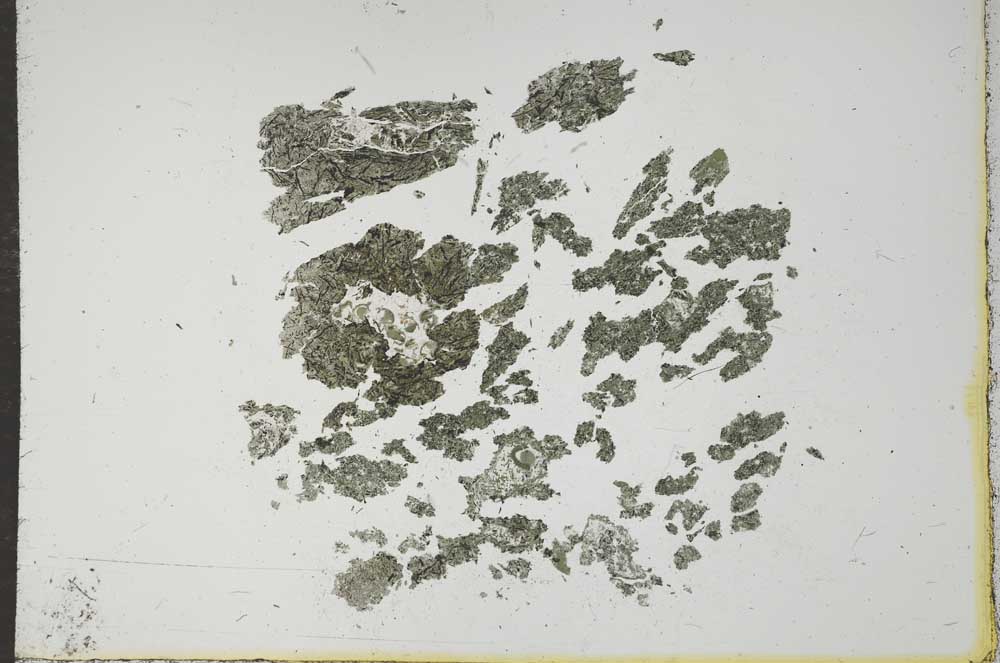 Plane Polarized, S17530