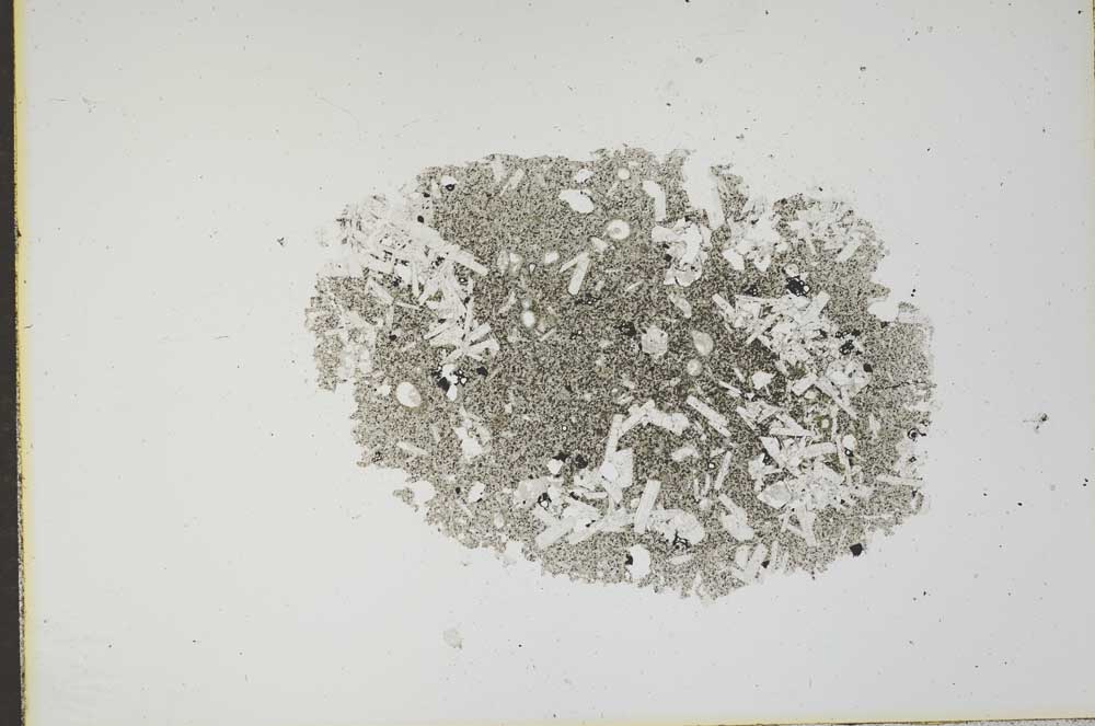 Plane Polarized, S17531